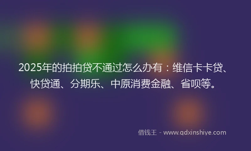 2025年的拍拍贷不通过怎么办有：维信卡卡贷、快贷通、分期乐、中原消费金融、省呗等。