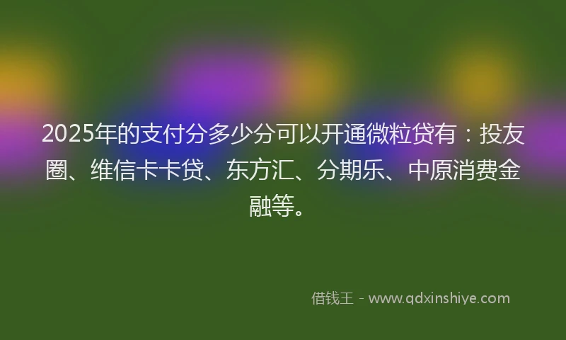 2025年的支付分多少分可以开通微粒贷有：投友圈、维信卡卡贷、东方汇、分期乐、中原消费金融等。