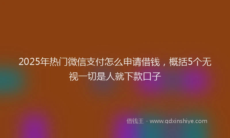 2025年热门微信支付怎么申请借钱，概括5个无视一切是人就下款口子