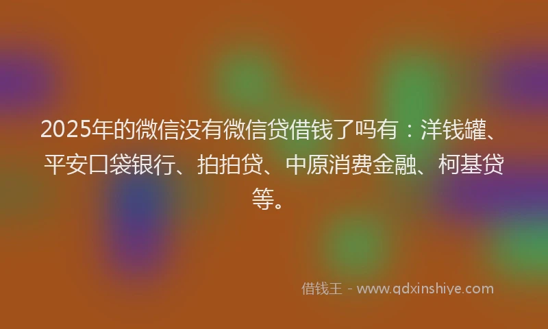 2025年的微信没有微信贷借钱了吗有：洋钱罐、平安口袋银行、拍拍贷、中原消费金融、柯基贷等。