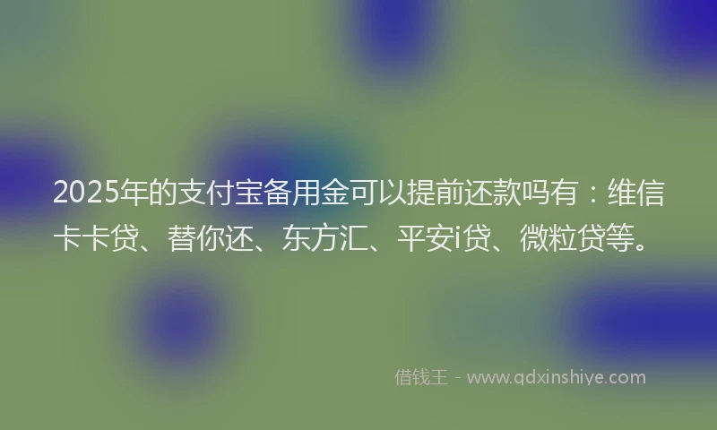 2025年的支付宝备用金可以提前还款吗有：维信卡卡贷、替你还、东方汇、平安i贷、微粒贷等。