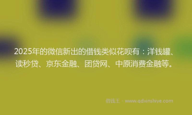 2025年的微信新出的借钱类似花呗有：洋钱罐、读秒贷、京东金融、团贷网、中原消费金融等。