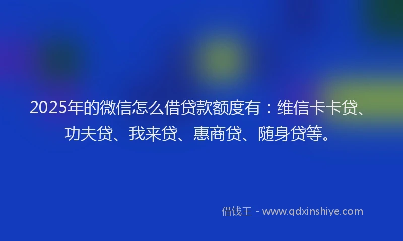 2025年的微信怎么借贷款额度有：维信卡卡贷、功夫贷、我来贷、惠商贷、随身贷等。