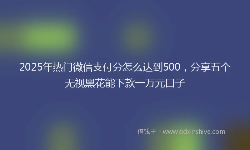2025年热门微信支付分怎么达到500，分享五个无视黑花能下款一万元口子