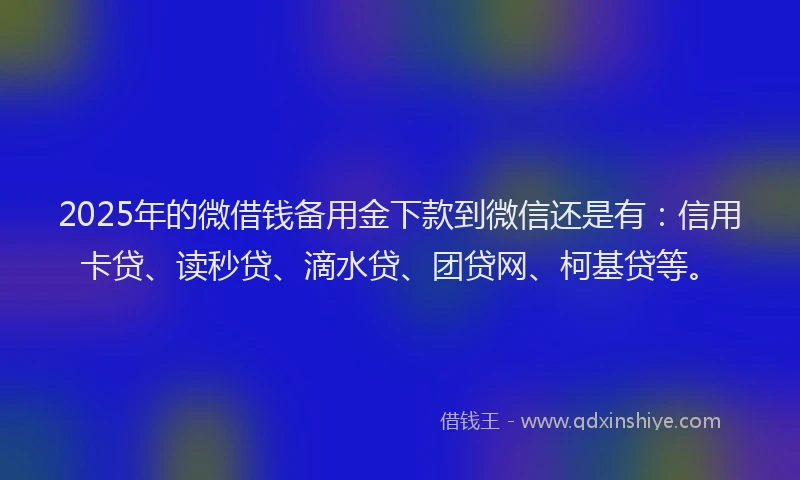 2025年的微借钱备用金下款到微信还是有：信用卡贷、读秒贷、滴水贷、团贷网、柯基贷等。