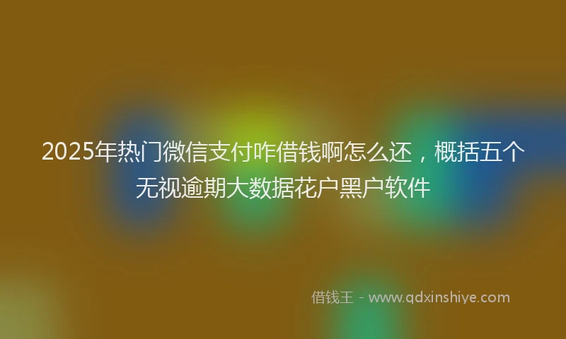 2025年热门微信支付咋借钱啊怎么还，概括五个无视逾期大数据花户黑户软件