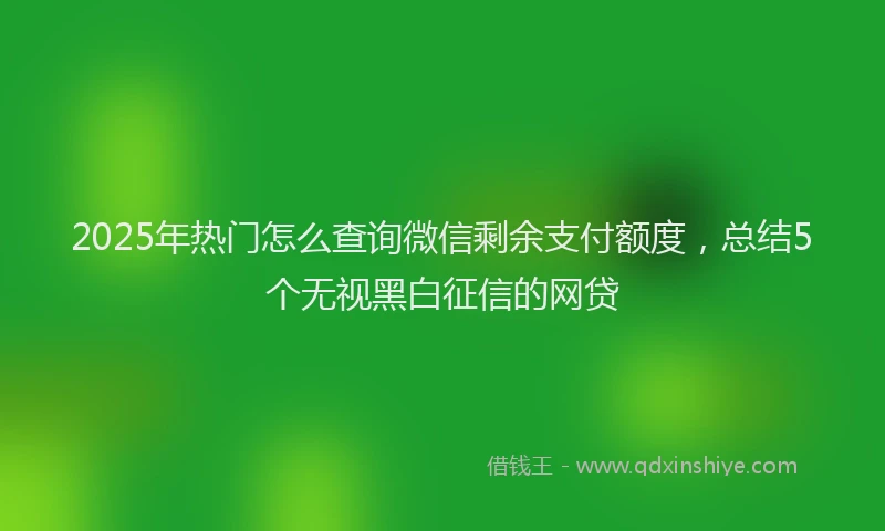 2025年热门怎么查询微信剩余支付额度，总结5个无视黑白征信的网贷