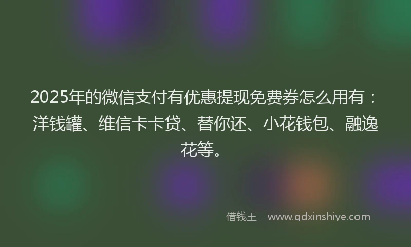 2025年的微信支付有优惠提现免费券怎么用有：洋钱罐、维信卡卡贷、替你还、小花钱包、融逸花等。