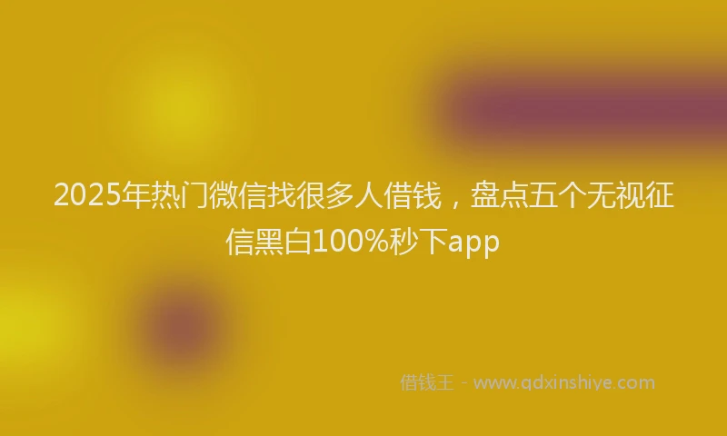 2025年热门微信找很多人借钱，盘点五个无视征信黑白100%秒下app