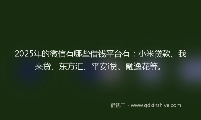 2025年的微信有哪些借钱平台有：小米贷款、我来贷、东方汇、平安i贷、融逸花等。