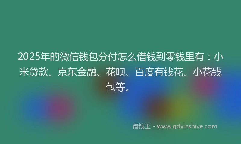 2025年的微信钱包分付怎么借钱到零钱里有：小米贷款、京东金融、花呗、百度有钱花、小花钱包等。