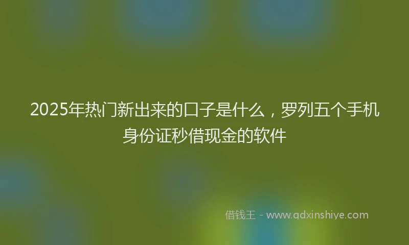 2025年热门新出来的口子是什么，罗列五个手机身份证秒借现金的软件