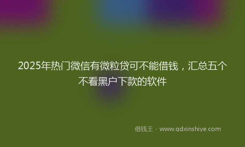 2025年热门微信有微粒贷可不能借钱，汇总五个不看黑户下款的软件