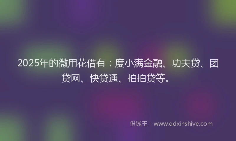 2025年的微用花借有：度小满金融、功夫贷、团贷网、快贷通、拍拍贷等。
