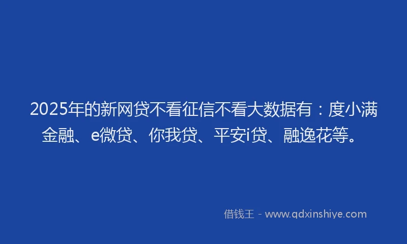 2025年的新网贷不看征信不看大数据有：度小满金融、e微贷、你我贷、平安i贷、融逸花等。