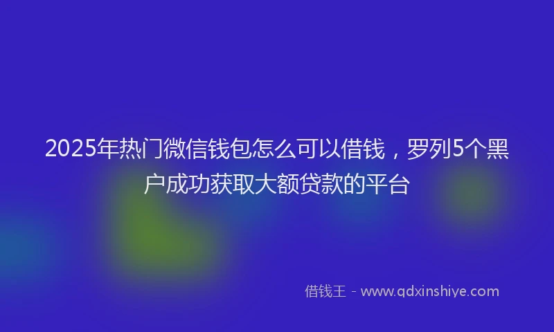 2025年热门微信钱包怎么可以借钱，罗列5个黑户成功获取大额贷款的平台