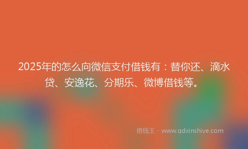2025年的怎么向微信支付借钱有：替你还、滴水贷、安逸花、分期乐、微博借钱等。
