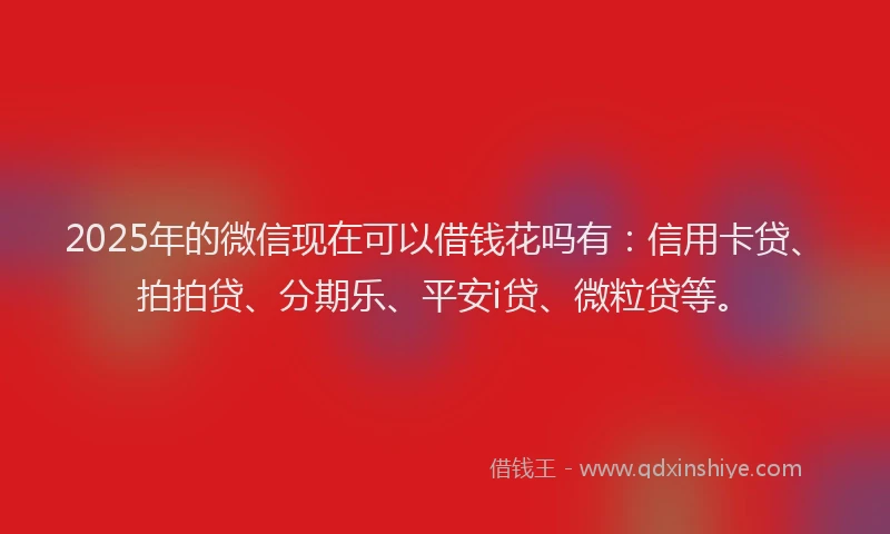 2025年的微信现在可以借钱花吗有：信用卡贷、拍拍贷、分期乐、平安i贷、微粒贷等。