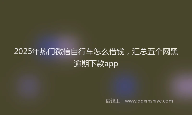 2025年热门微信自行车怎么借钱，汇总五个网黑逾期下款app