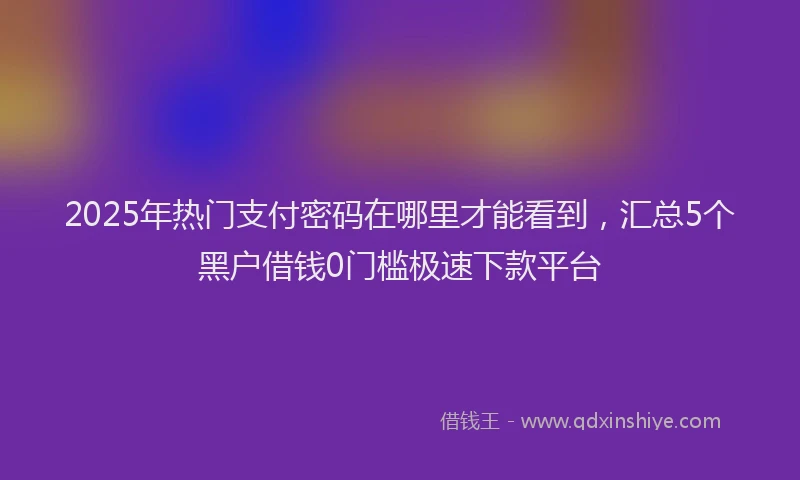 2025年热门支付密码在哪里才能看到，汇总5个黑户借钱0门槛极速下款平台