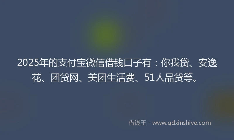 2025年的支付宝微信借钱口子有：你我贷、安逸花、团贷网、美团生活费、51人品贷等。