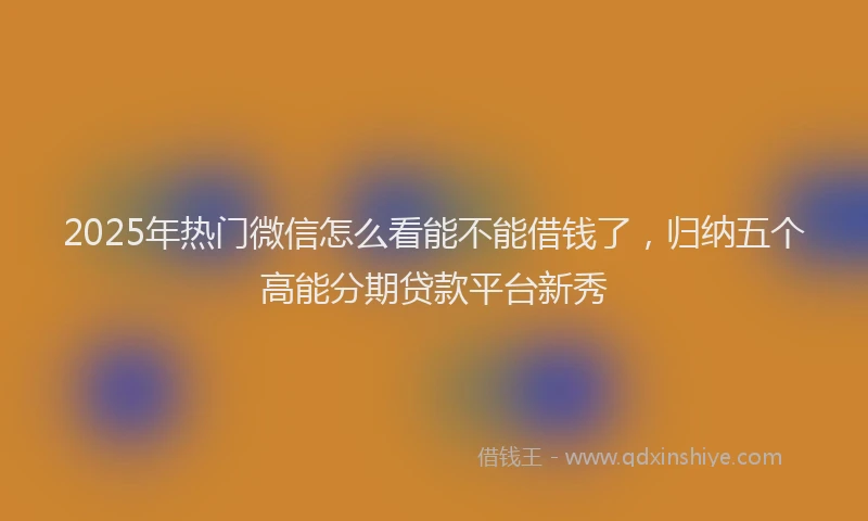 2025年热门微信怎么看能不能借钱了，归纳五个高能分期贷款平台新秀