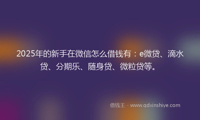 2025年的新手在微信怎么借钱有：e微贷、滴水贷、分期乐、随身贷、微粒贷等。