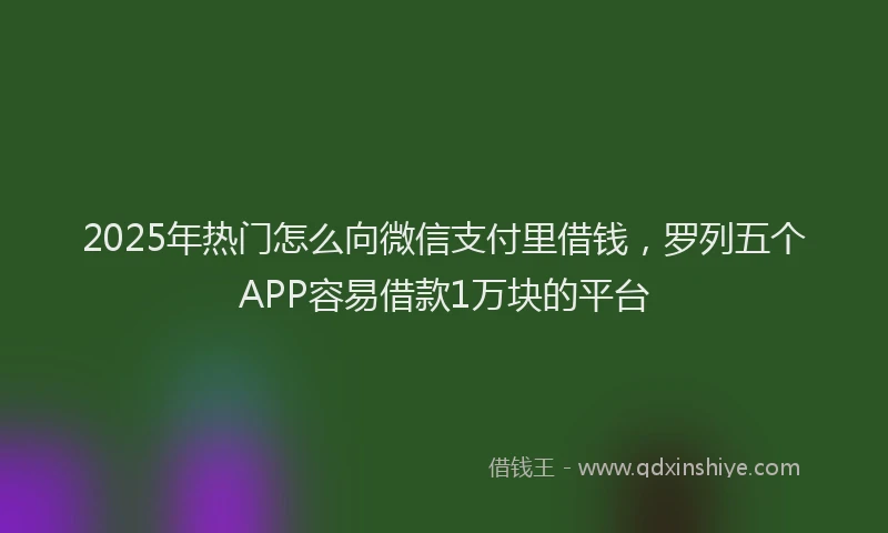 2025年热门怎么向微信支付里借钱，罗列五个APP容易借款1万块的平台