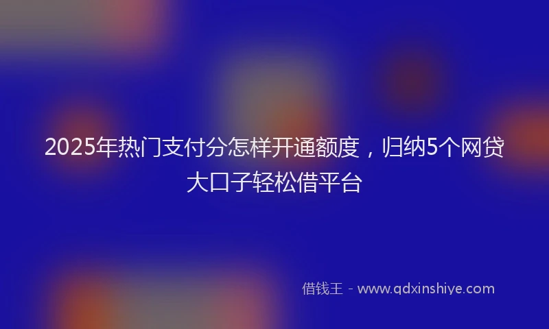 2025年热门支付分怎样开通额度，归纳5个网贷大口子轻松借平台