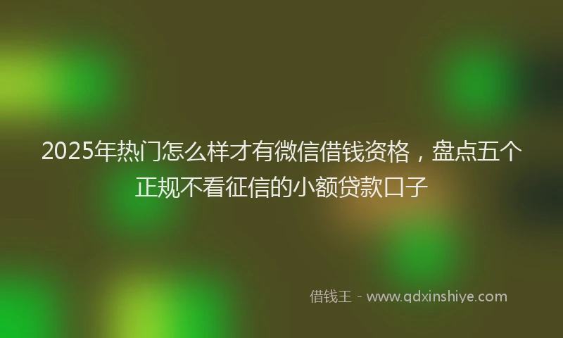 2025年热门怎么样才有微信借钱资格，盘点五个正规不看征信的小额贷款口子