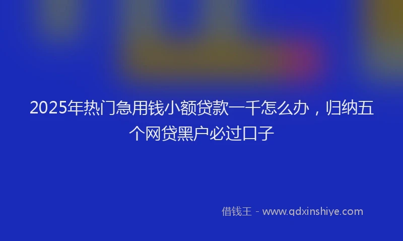 2025年热门急用钱小额贷款一千怎么办，归纳五个网贷黑户必过口子