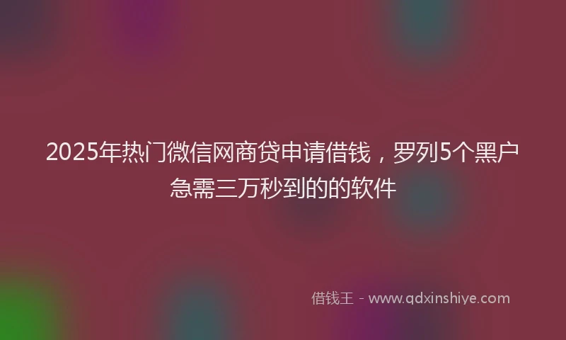 2025年热门微信网商贷申请借钱，罗列5个黑户急需三万秒到的的软件