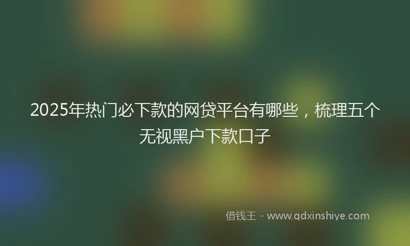 2025年热门必下款的网贷平台有哪些，梳理五个无视黑户下款口子
