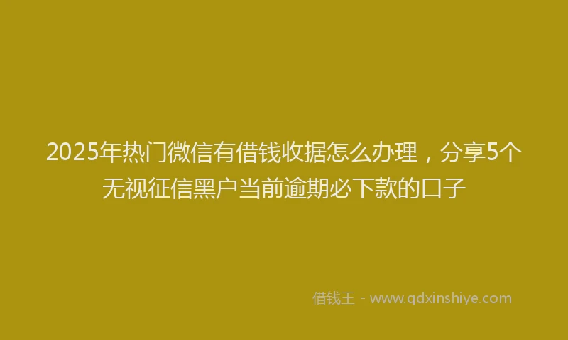 2025年热门微信有借钱收据怎么办理，分享5个无视征信黑户当前逾期必下款的口子