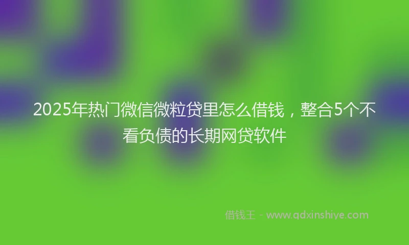 2025年热门微信微粒贷里怎么借钱，整合5个不看负债的长期网贷软件