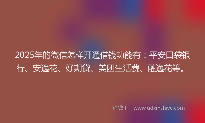 2025年的微信怎样开通借钱功能有：平安口袋银行、安逸花、好期贷、美团生活费、融逸花等。