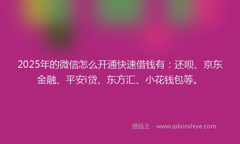 2025年的微信怎么开通快速借钱有：还呗、京东金融、平安i贷、东方汇、小花钱包等。