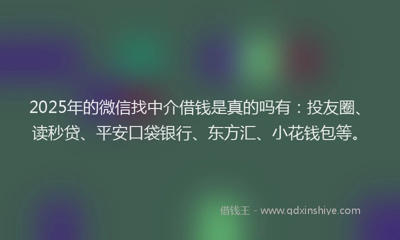 2025年的微信找中介借钱是真的吗有：投友圈、读秒贷、平安口袋银行、东方汇、小花钱包等。