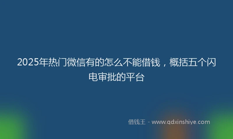 2025年热门微信有的怎么不能借钱，概括五个闪电审批的平台