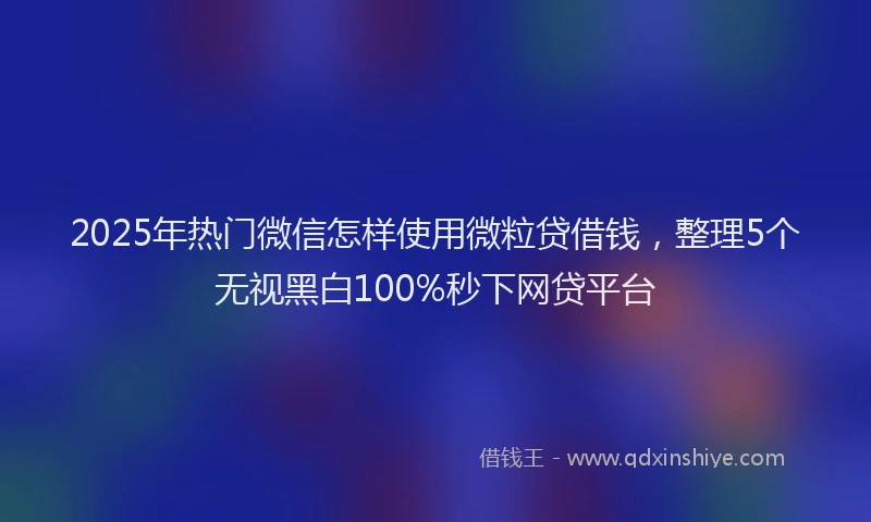 2025年热门微信怎样使用微粒贷借钱，整理5个无视黑白100%秒下网贷平台