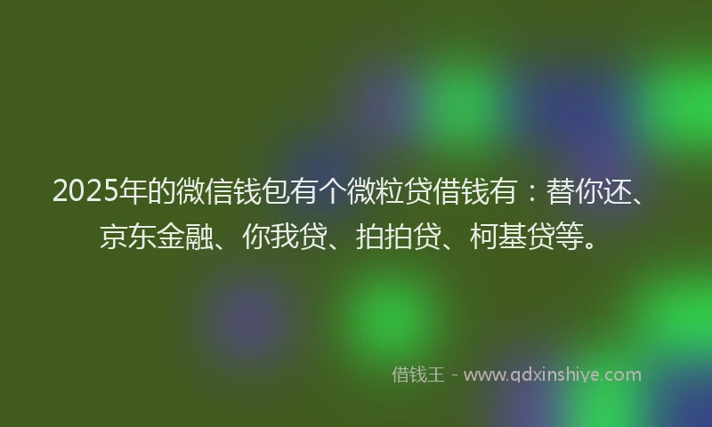 2025年的微信钱包有个微粒贷借钱有：替你还、京东金融、你我贷、拍拍贷、柯基贷等。