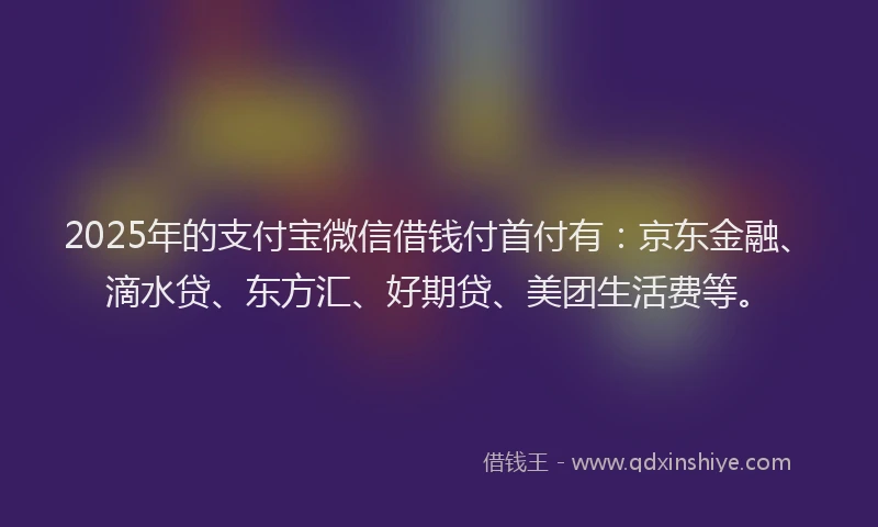 2025年的支付宝微信借钱付首付有：京东金融、滴水贷、东方汇、好期贷、美团生活费等。
