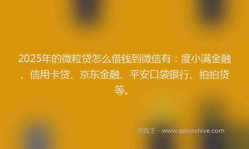 2025年的微粒贷怎么借钱到微信有：度小满金融、信用卡贷、京东金融、平安口袋银行、拍拍贷等。
