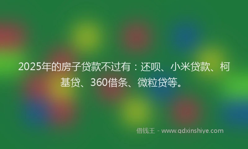 2025年的房子贷款不过有：还呗、小米贷款、柯基贷、360借条、微粒贷等。
