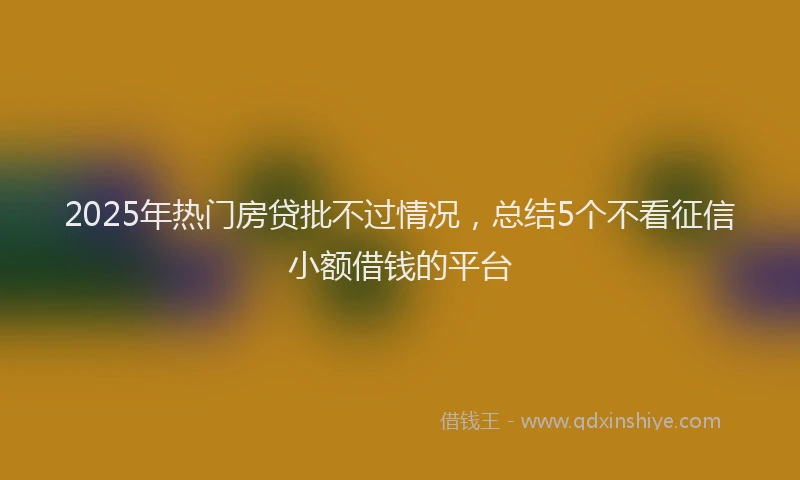 2025年热门房贷批不过情况，总结5个不看征信小额借钱的平台