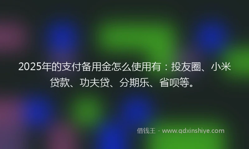2025年的支付备用金怎么使用有：投友圈、小米贷款、功夫贷、分期乐、省呗等。