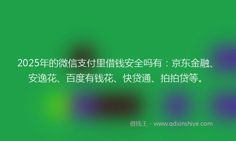 2025年的微信支付里借钱安全吗有：京东金融、安逸花、百度有钱花、快贷通、拍拍贷等。