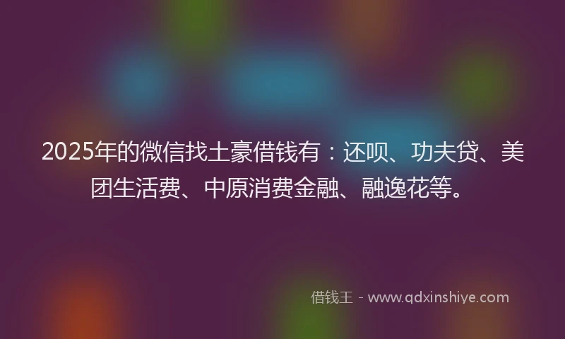 2025年的微信找土豪借钱有：还呗、功夫贷、美团生活费、中原消费金融、融逸花等。