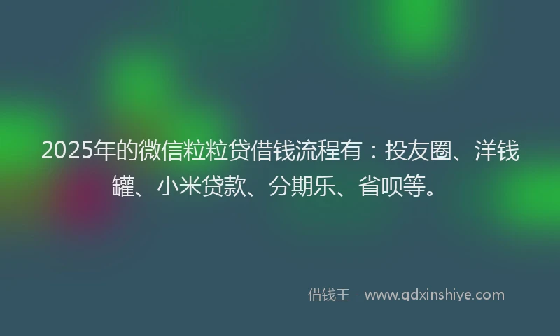 2025年的微信粒粒贷借钱流程有：投友圈、洋钱罐、小米贷款、分期乐、省呗等。