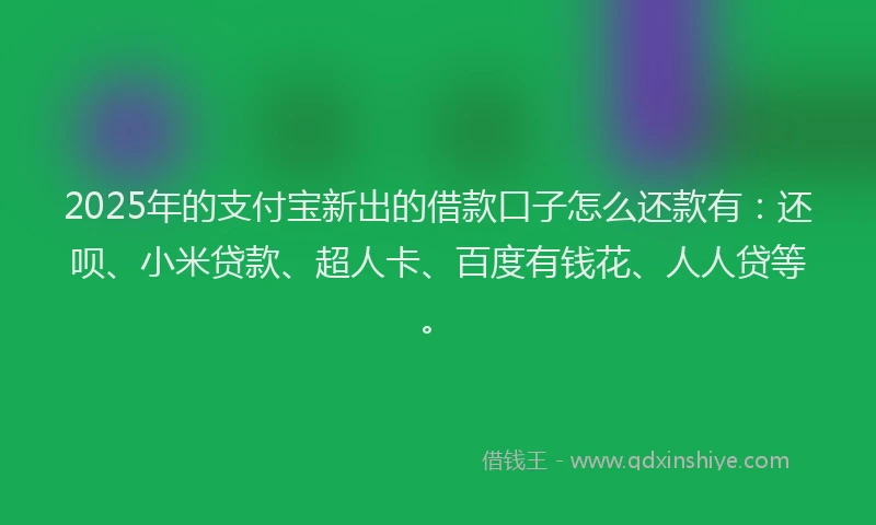 2025年的支付宝新出的借款口子怎么还款有：还呗、小米贷款、超人卡、百度有钱花、人人贷等。